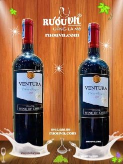 ruou-vang-ventura