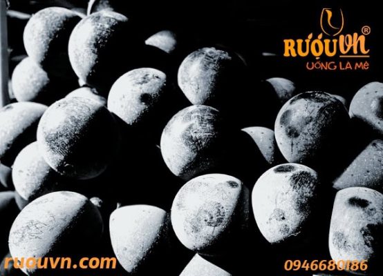 hạn sử dụng rượu vang
