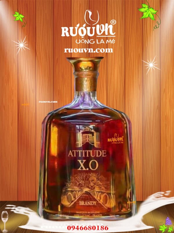 ruou-brandy-xo-attitude