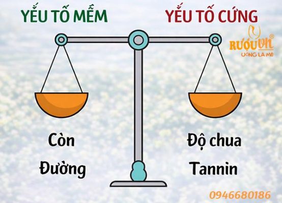 sự-cân-bằng-của-rượu-vang