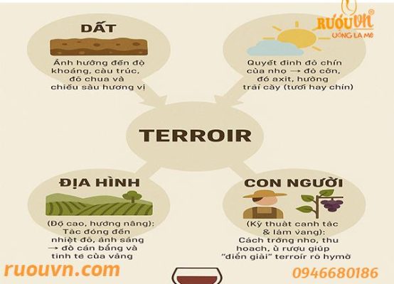 terroir-la-gi