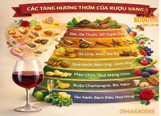 Hương thơm của rượu vang